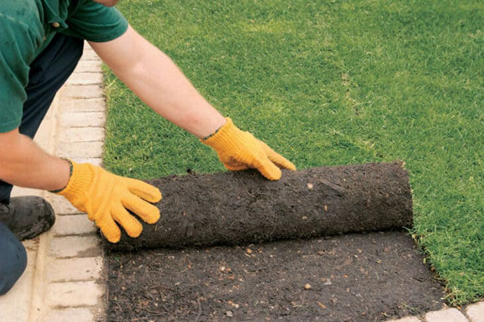 Top Mistakes to Avoid During Sod Installation